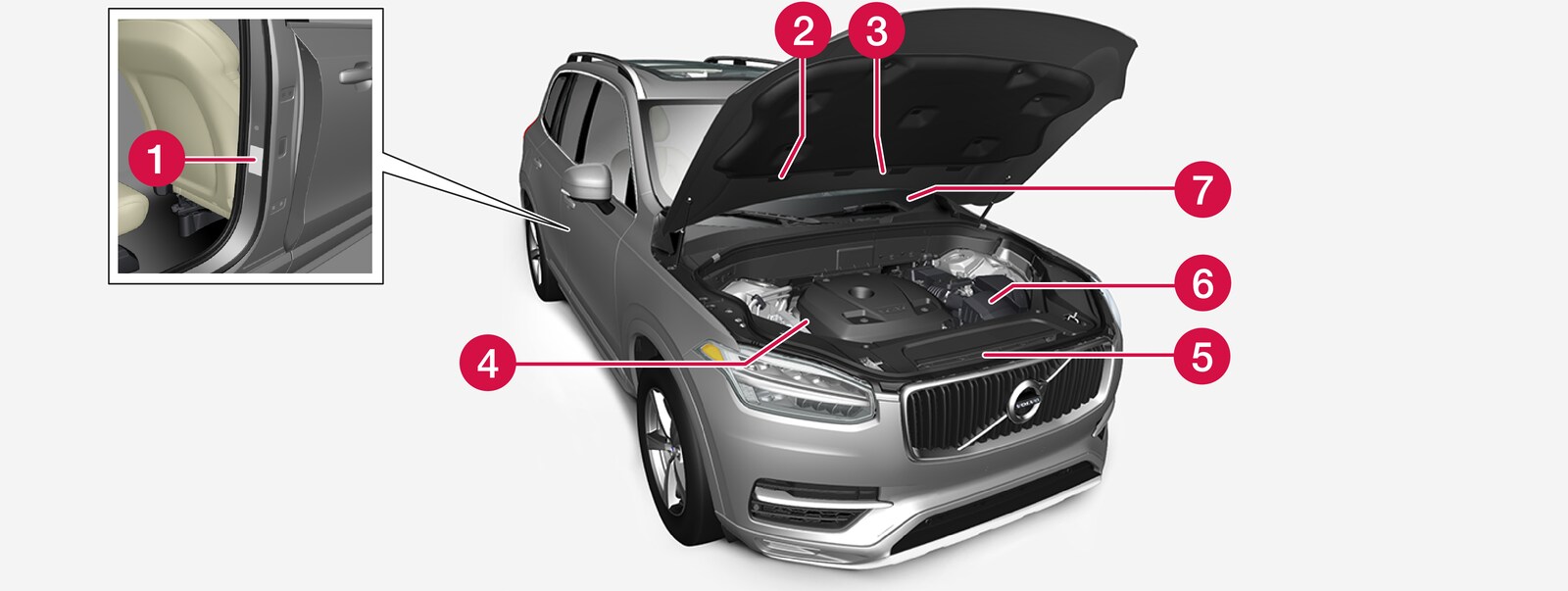 P5-1846-XC90-Type approval, labels, not China, Russia and Saudi Arabia