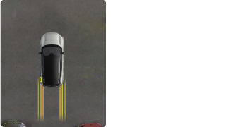 Top view of your car in the parking view