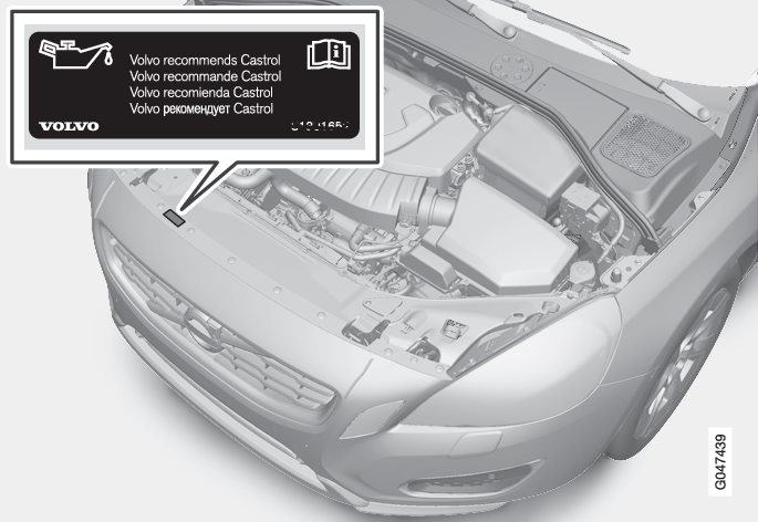 P3-1246-V60H Oil label location