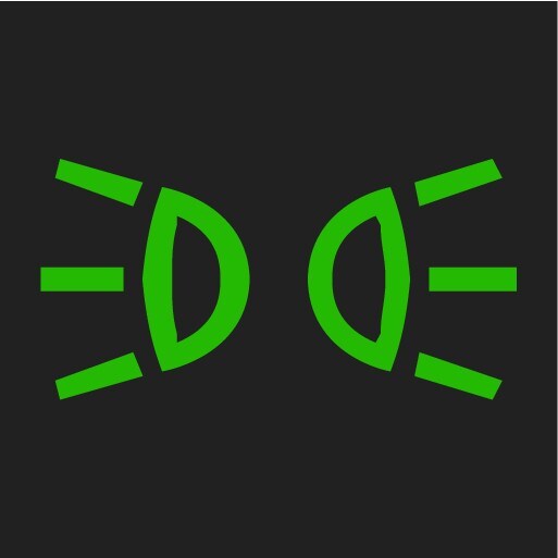 P5-1507 Symbol Forward lights