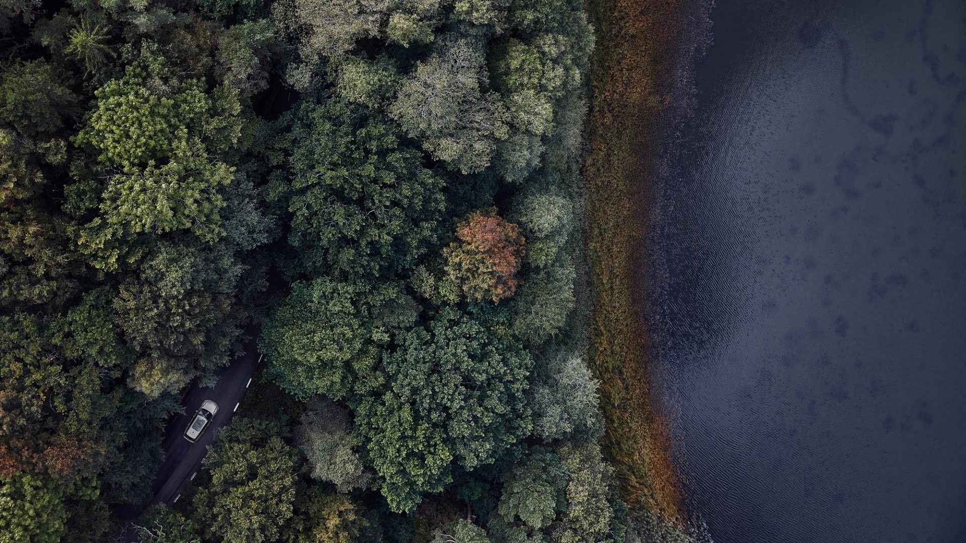 A Volvo seen from above drives along a forest road with a lake nearby.