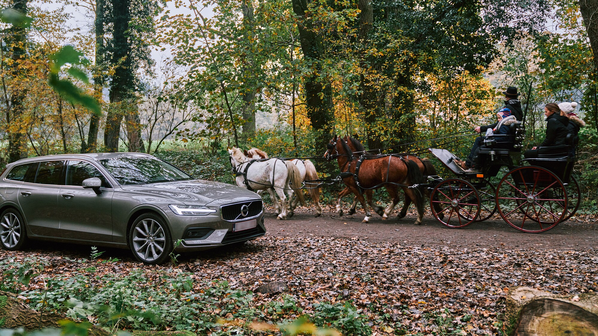 Een koets met paarden passeert langs een Volvo V60 in een bos.