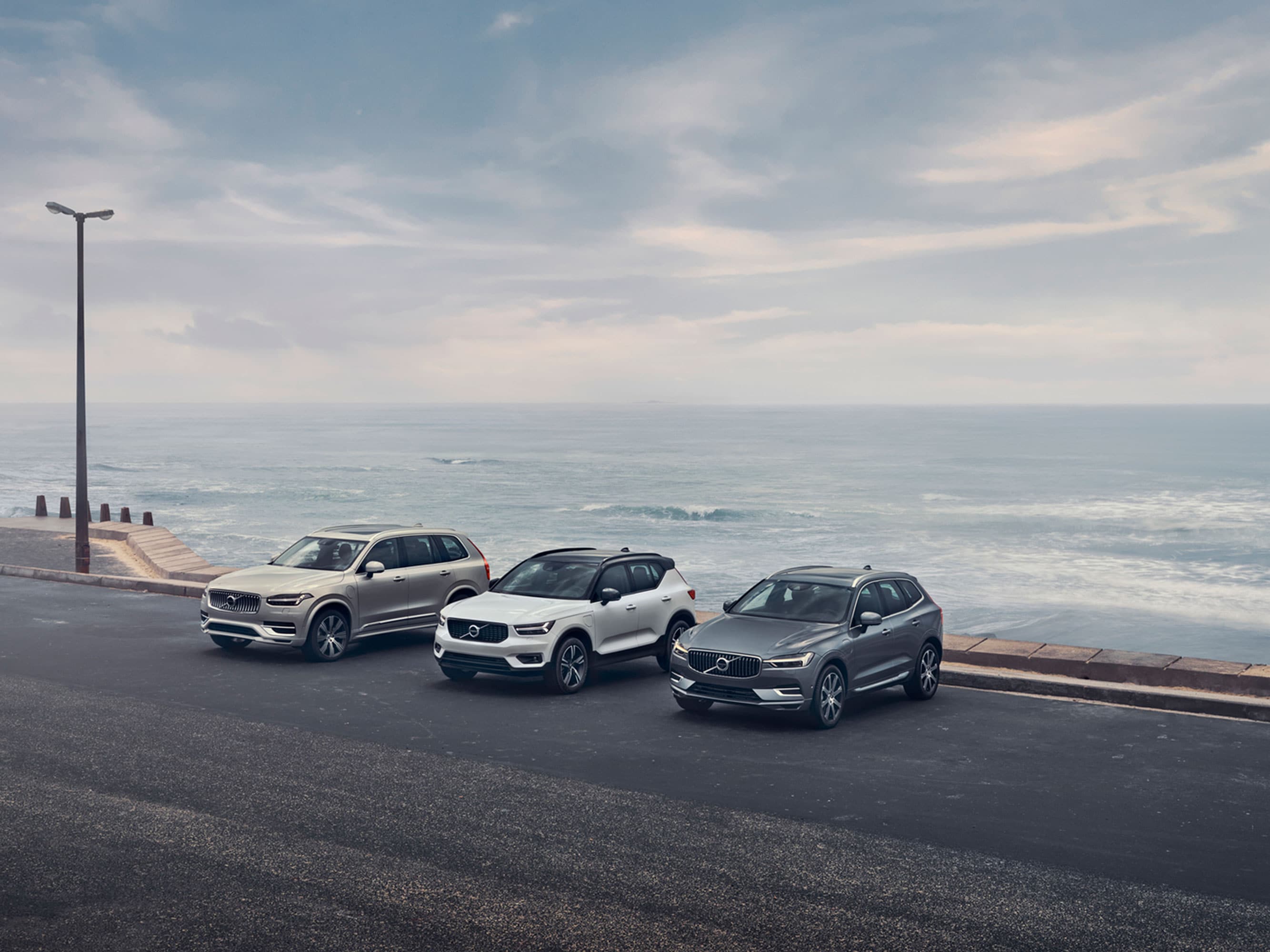 Volvo biler parkerede ved en strand.