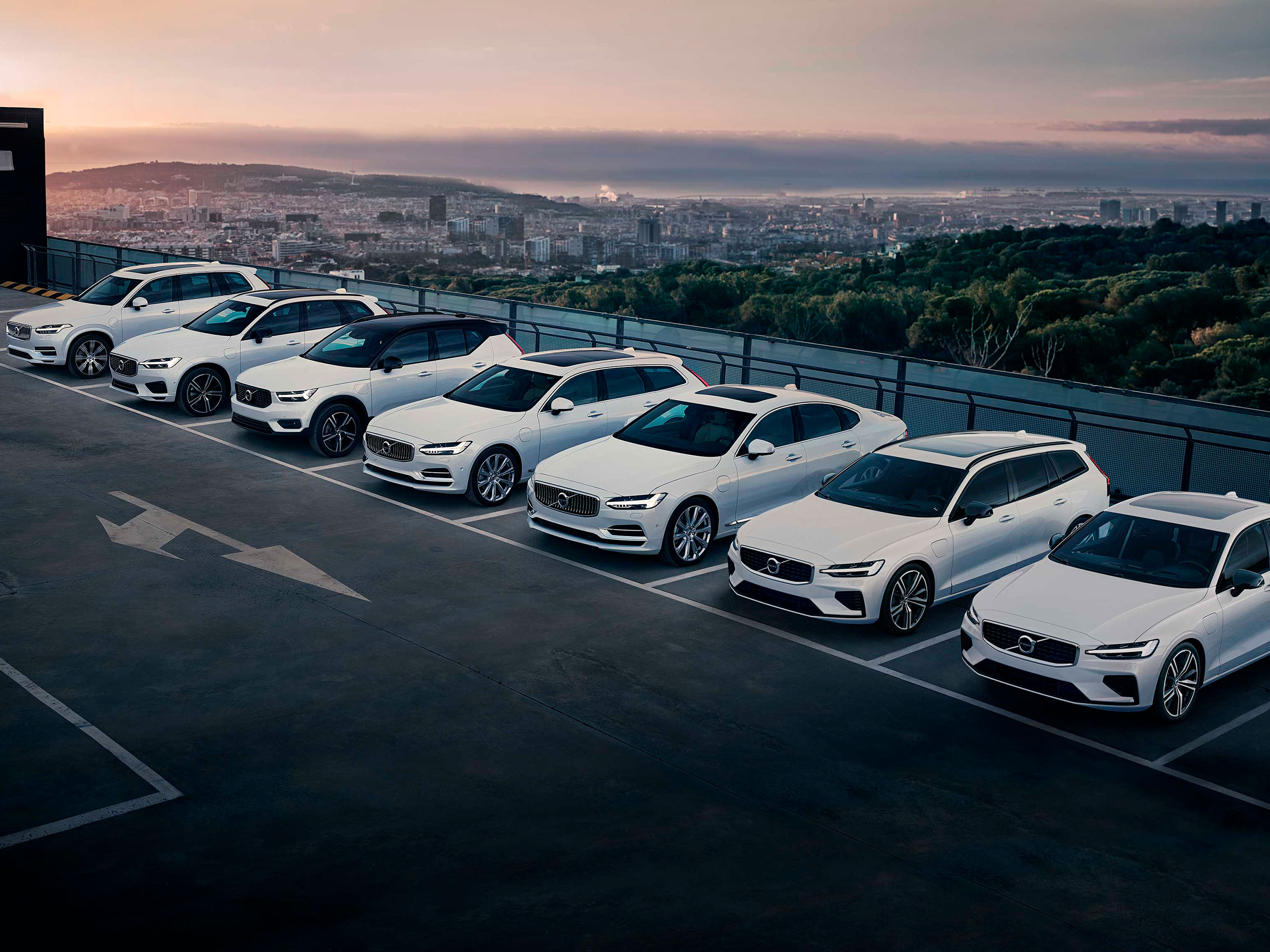 Forskellige Volvo modeller parkeret i en parkeringsplads