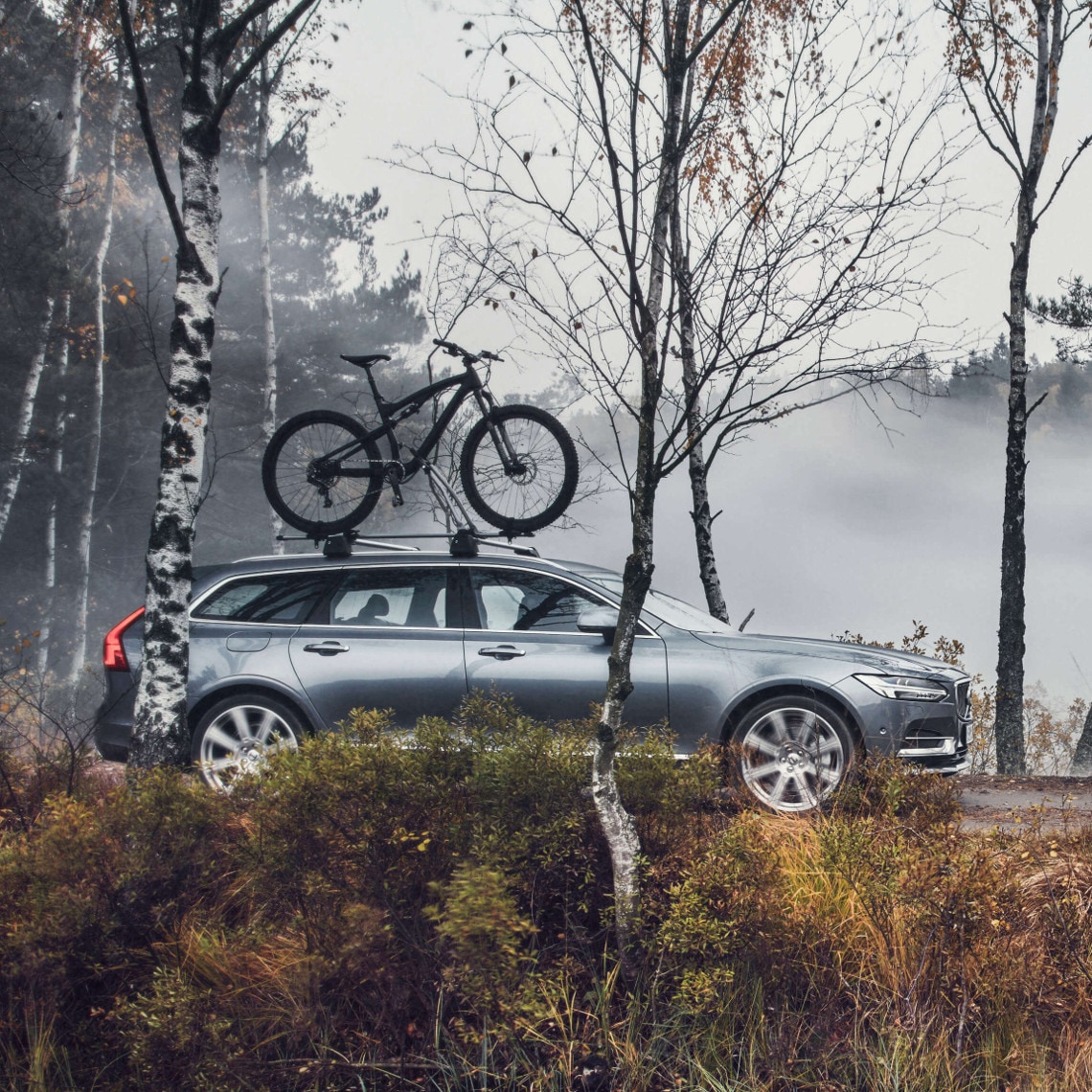 Volvo V90 CROSS COUNTRY mit Fahrradträger auf dem Dach im Wald