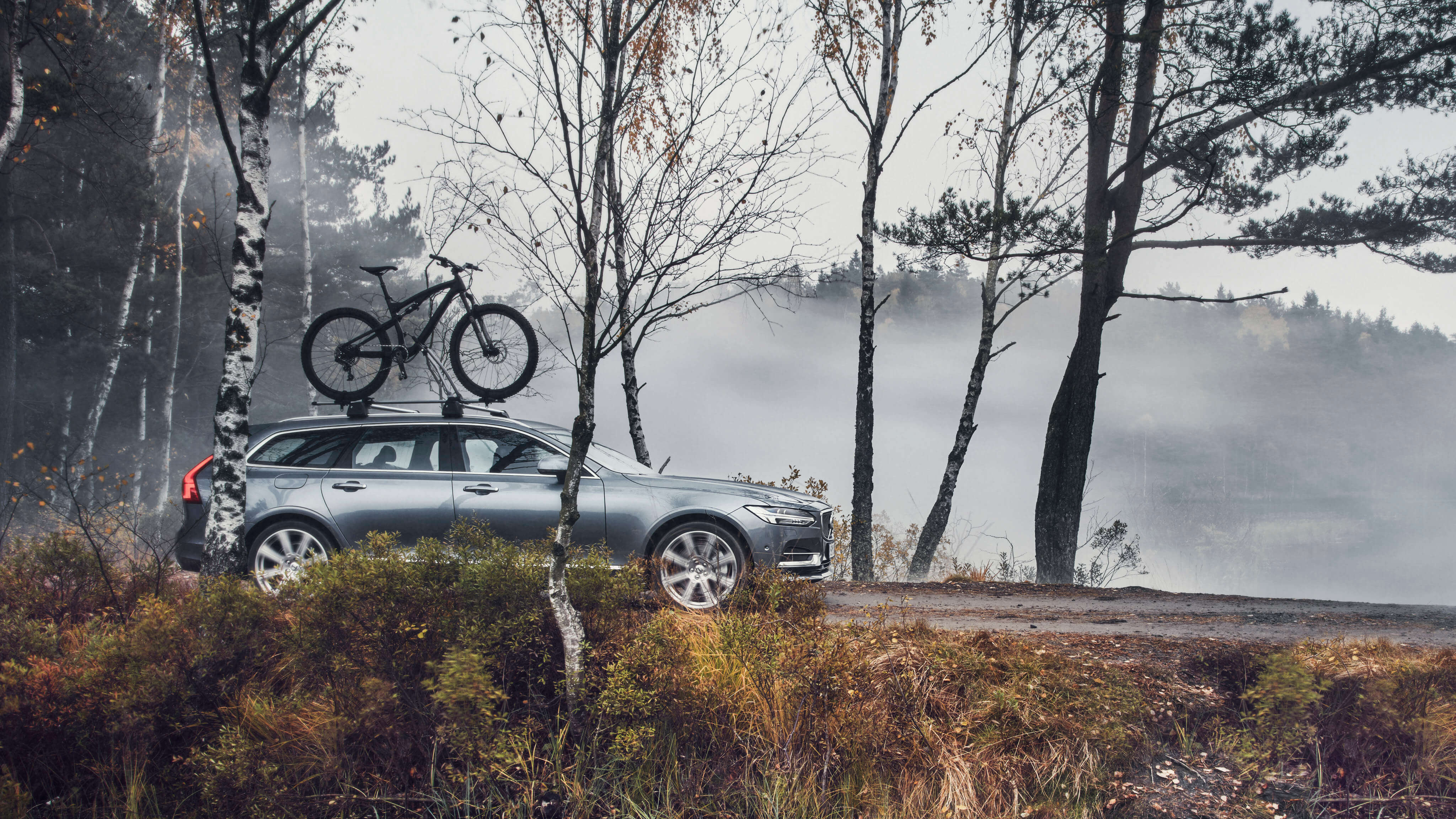 Volvo V90 CROSS COUNTRY mit Fahrradträger steht in einem vernebelten Wald