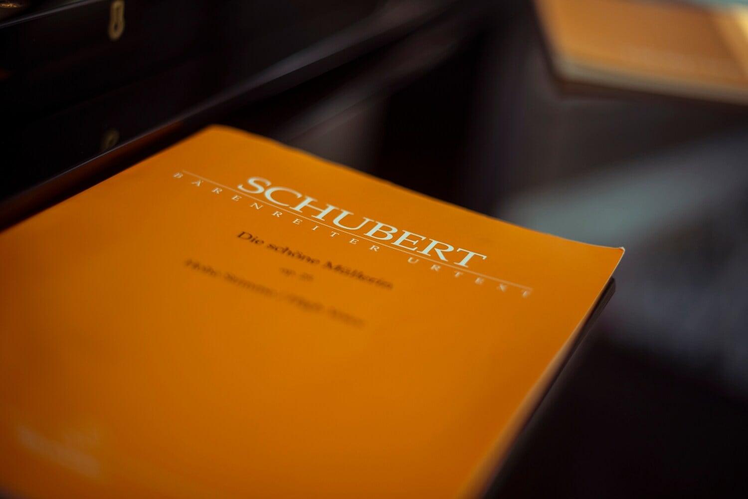 Viaggio con Schubert