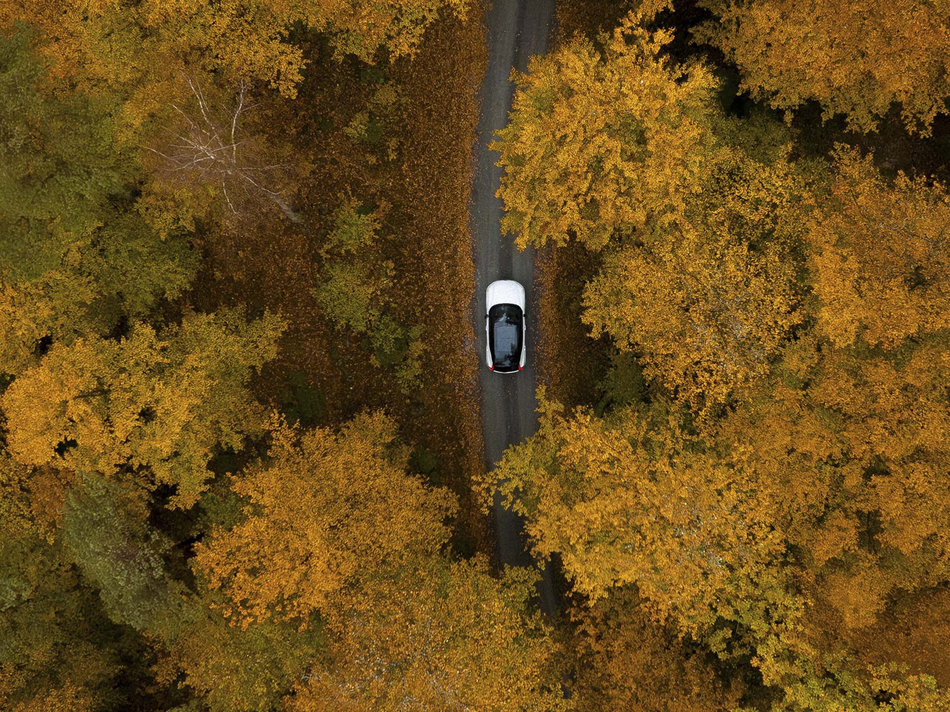 Un SUV de Volvo entre un bosque visto desde el aire