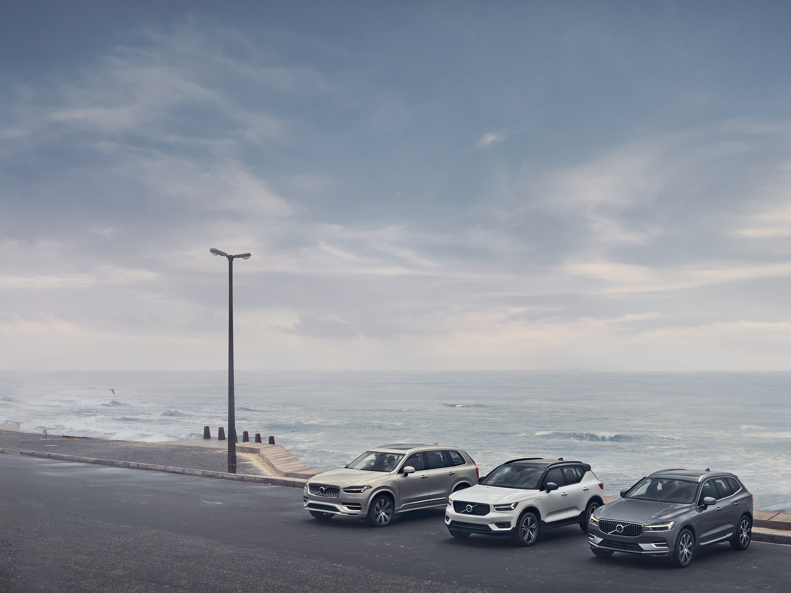 Deniz kenarında yan yana duran sıralı Volvo SUV Modelleri 