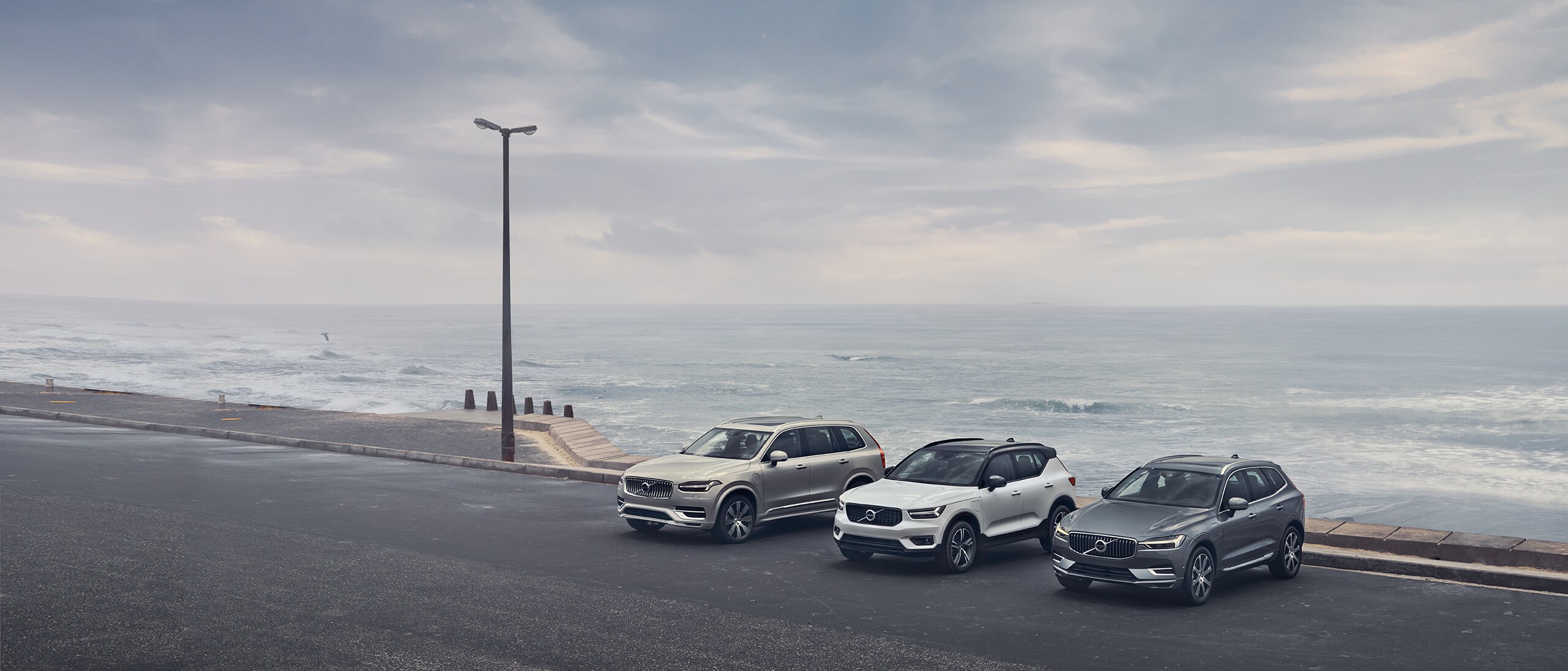 Deniz kenarında yan yana duran sıralı Volvo SUV Modelleri 