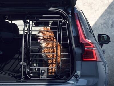 Собака в клетке, установленной в багажнике Volvo