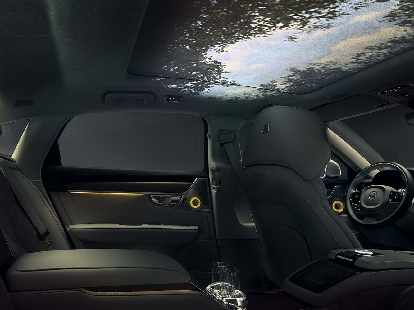 Notranjost našega koncepta za veččutno doživetje v avtomobilu s panoramskim pogledom na gozdno nebo v stropu avtomobila
