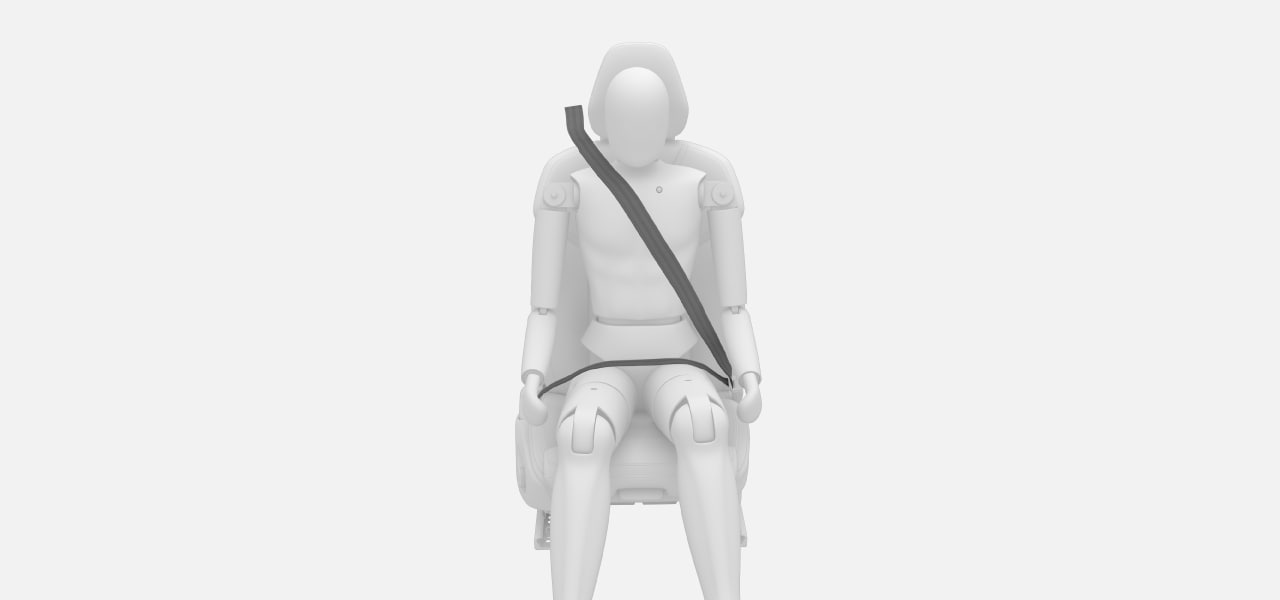 Correctly fastened seat belt