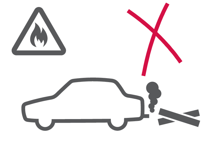 P3/P4-1546–Japan New–56 Stanna inte bilen vid dött gräs