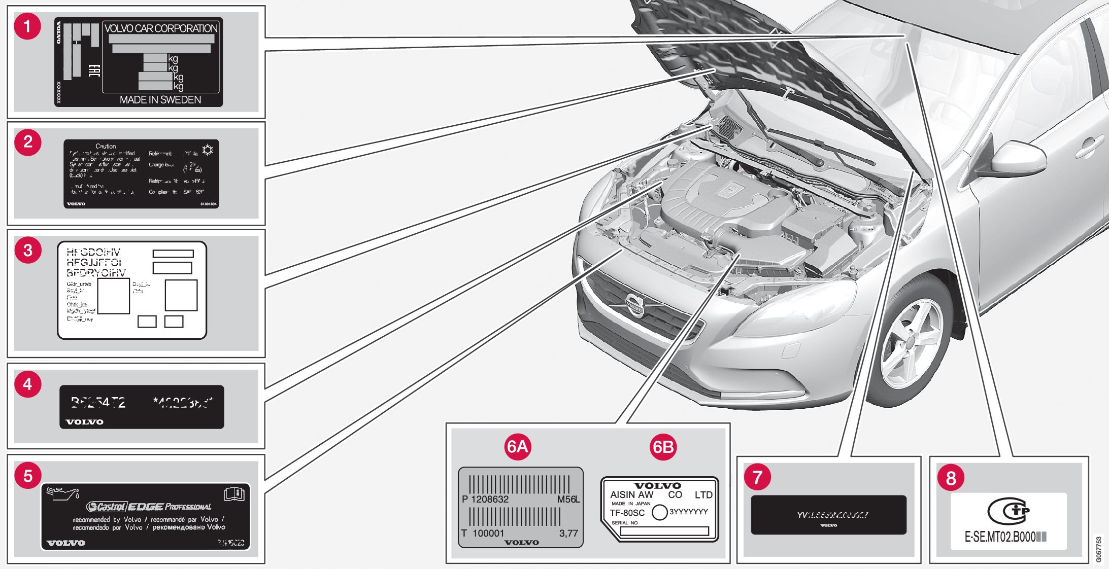 P4-1546-Type approval, labels, vehicles for Russia_Belarus_Kazachstan