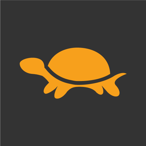 P6-22w04-BEV-Filled amber turtoise