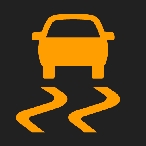 P5-1507- Electronic Stability Control symbol