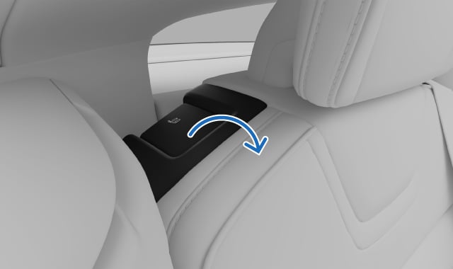 Backrest release handle on the rear seat backrest