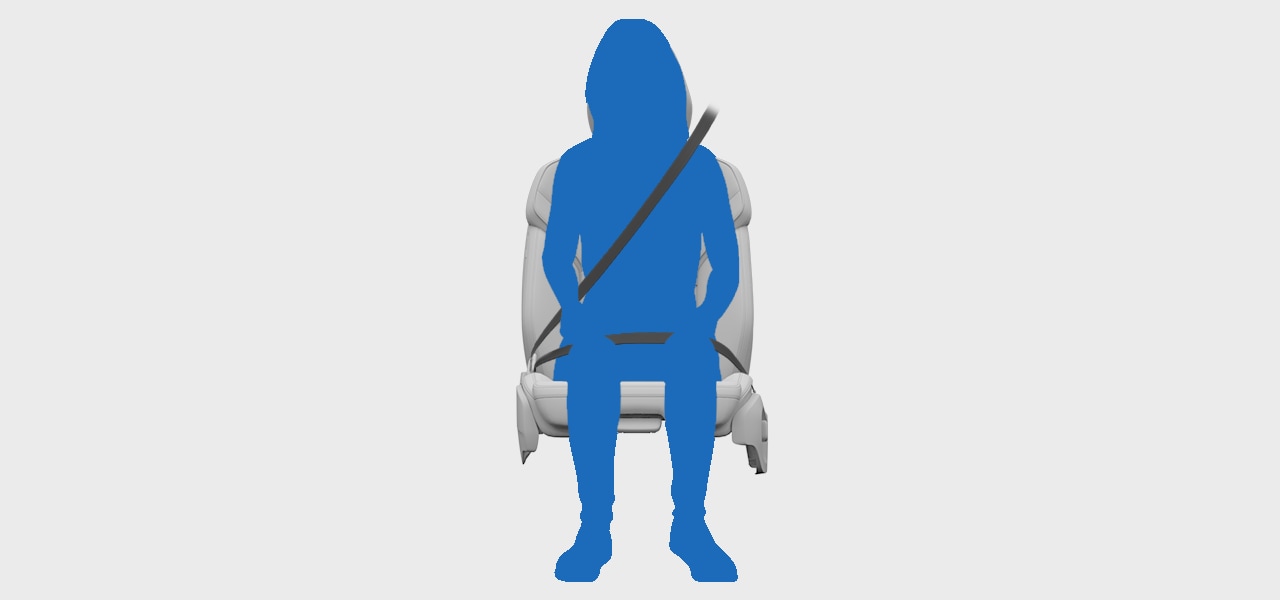 Correctly fastened seatbelt.