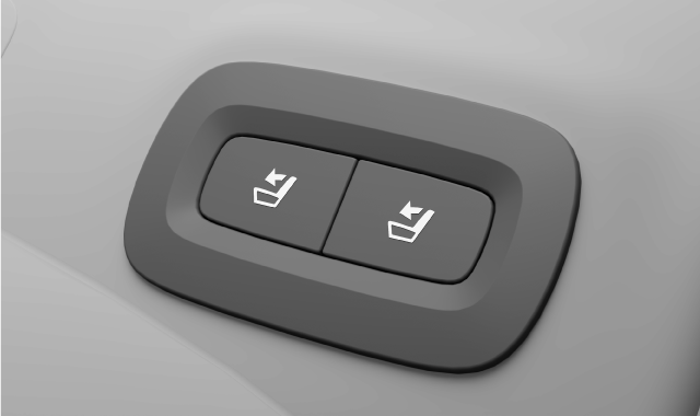 Taste an der Rückenlehne im Fond